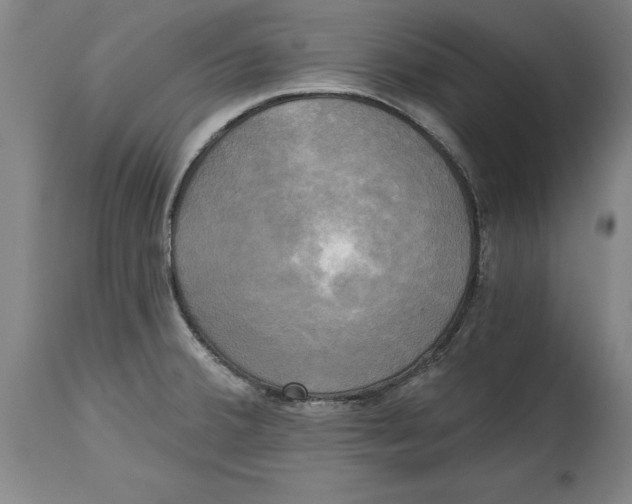 X0000114671380200911181156