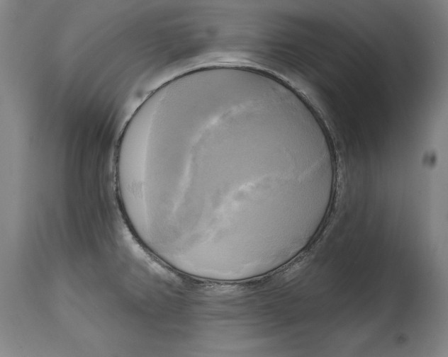 X0000114671382200911181156