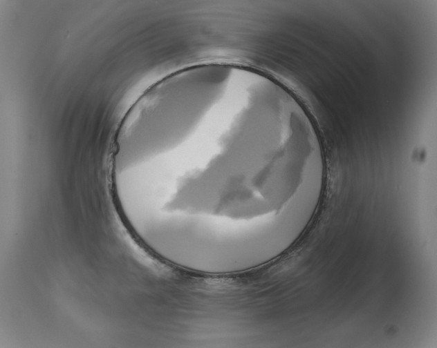 X0000114671383200911181156