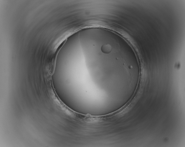 X0000114671385200911181156