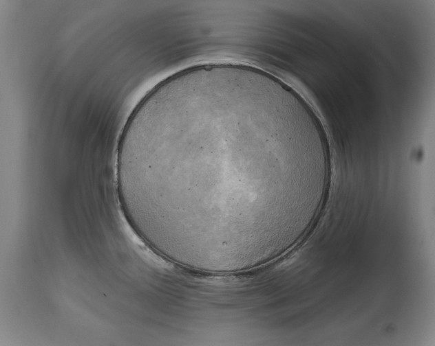 X0000114671388200911181156