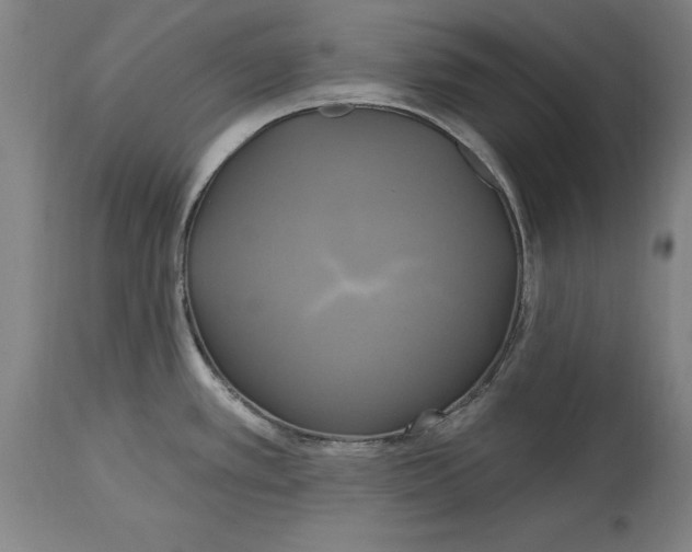 X0000114671389200911181156