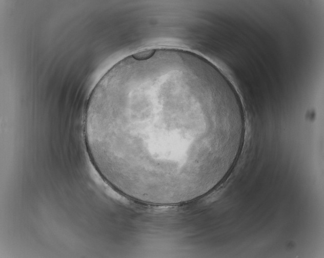 X0000114671390200911181156