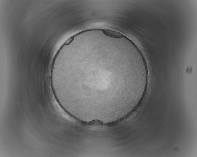 X0000114671392200911181156