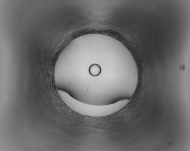 X0000114671397200911181155