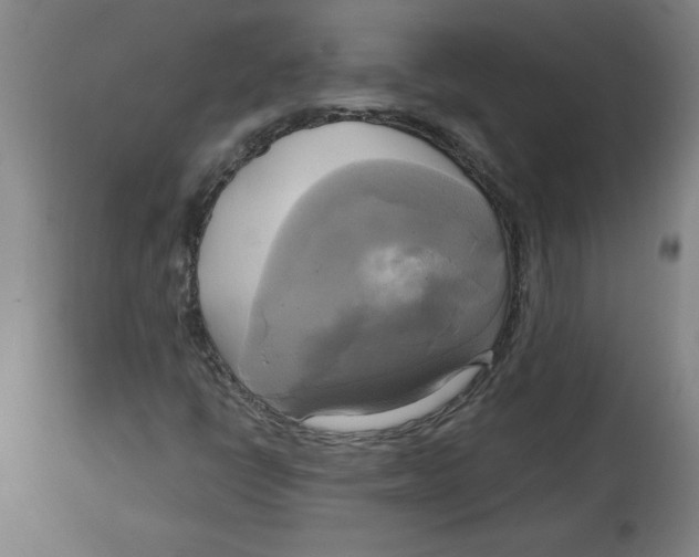 X0000114671398200911181155