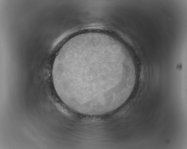 X0000114671400200911181156