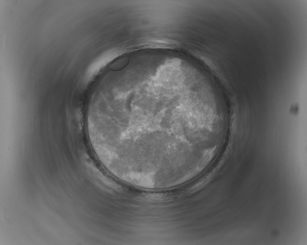 X0000114671402200911181156