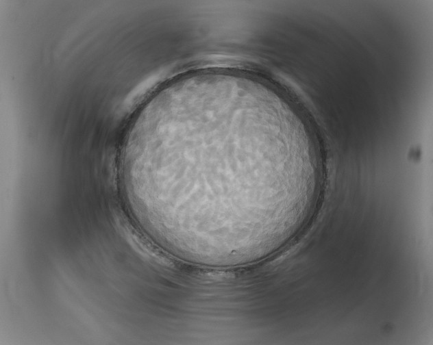 X0000114671403200911181156