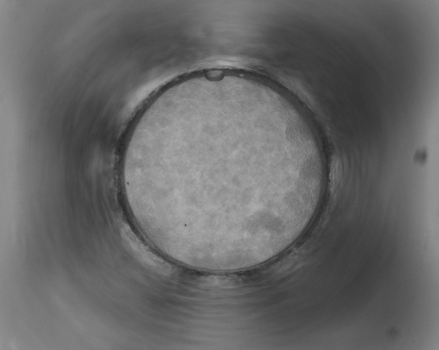 X0000114671404200911181156