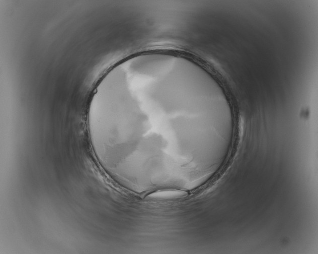 X0000114671405200911181156