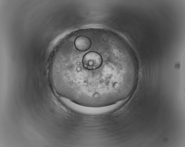 X0000114671406200911181156