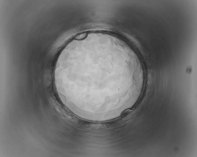 X0000114671407200911181156