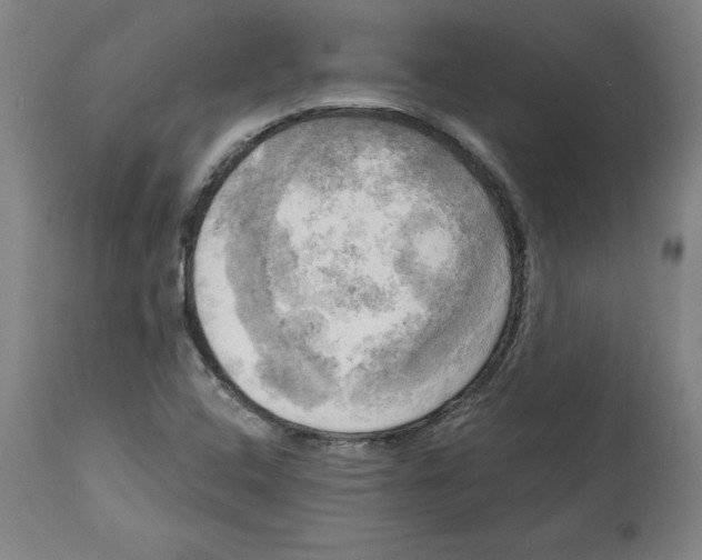 X0000114671408200911181156