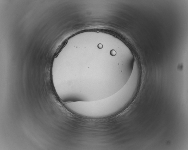 X0000114671409200911181156