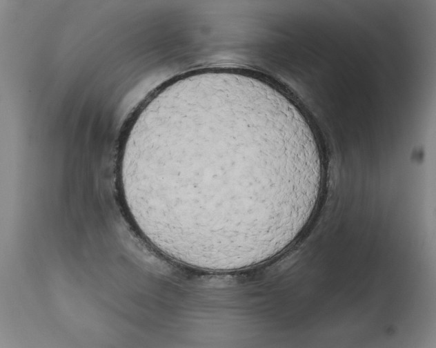 X0000114671410200911181156