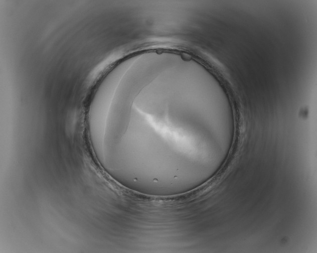 X0000114671411200911181156