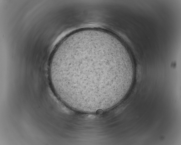 X0000114671412200911181156