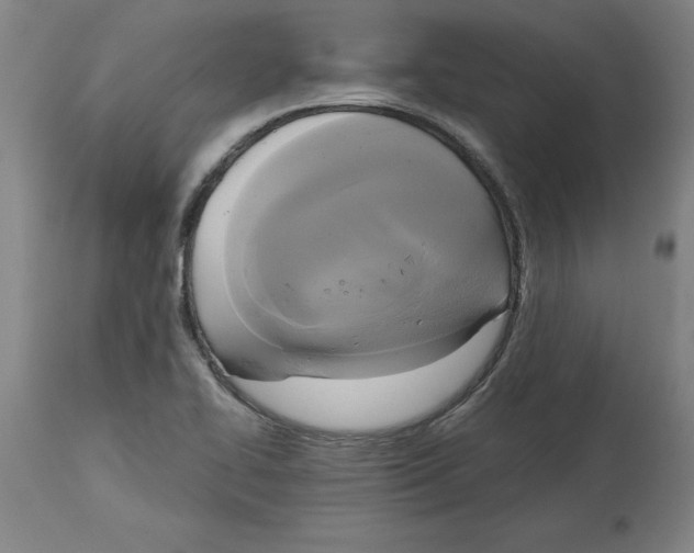 X0000114671414200911181156