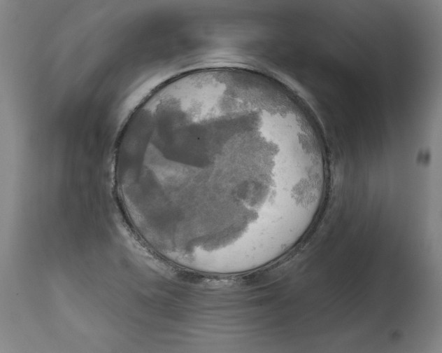 X0000114671415200911181156