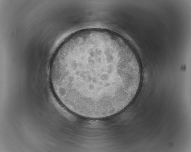 X0000114671416200911181156