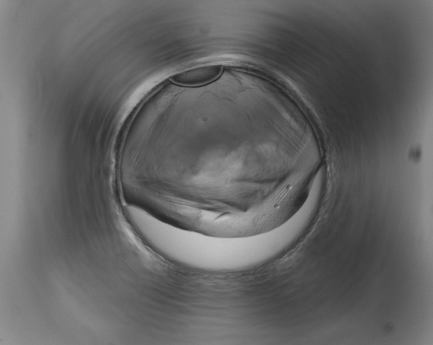 X0000114671418200911181156