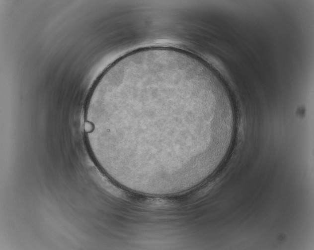 X0000114671420200911181156