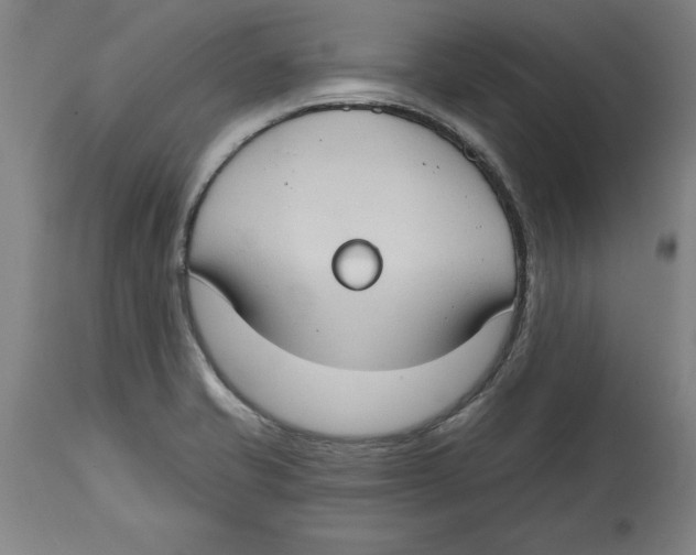 X0000114671421200911181156