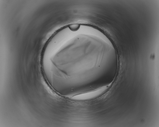 X0000114671422200911181156