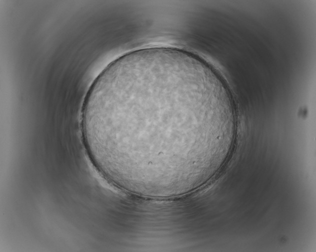 X0000114671423200911181156