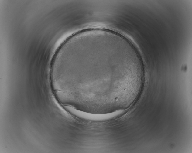 X0000114671424200911181156