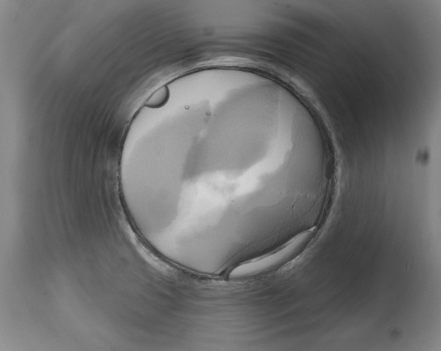 X0000114671425200911181156