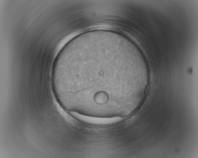 X0000114671426200911181156