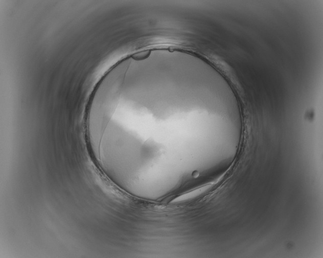 X0000114671427200911181156