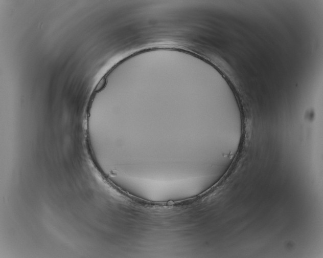 X0000114671428200911181156