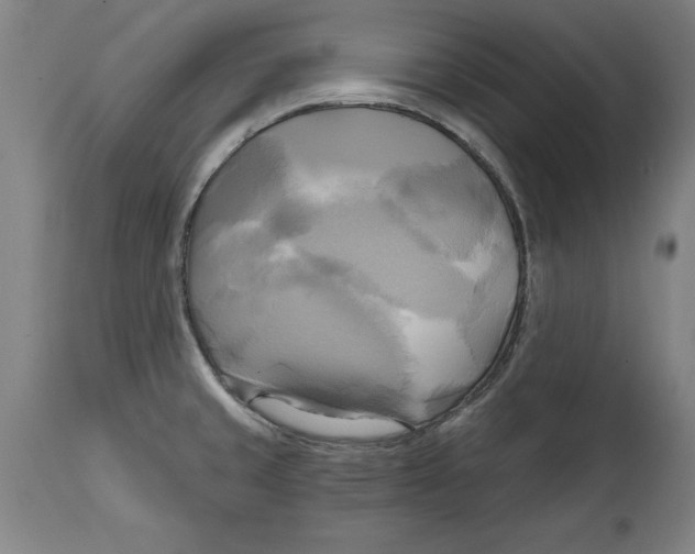 X0000114671429200911181156