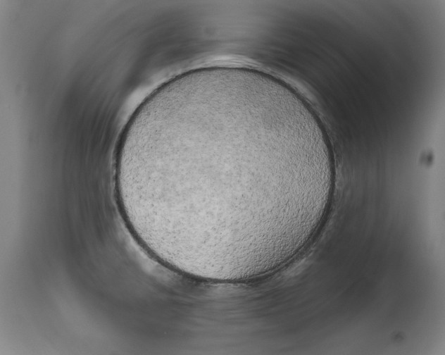 X0000114671430200911181156