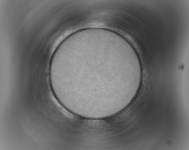 X0000114671432200911181156