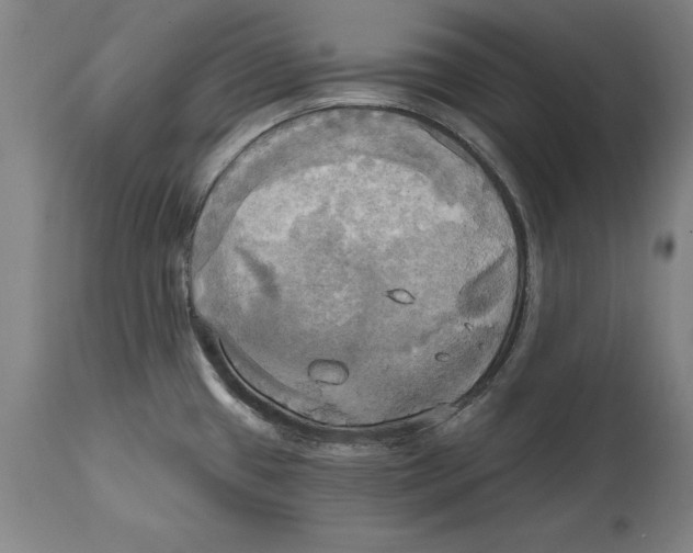 X0000114671433200911181156