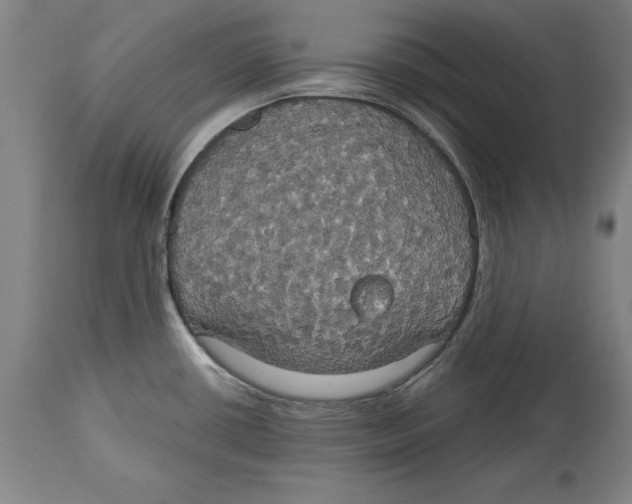 X0000114671434200911181156