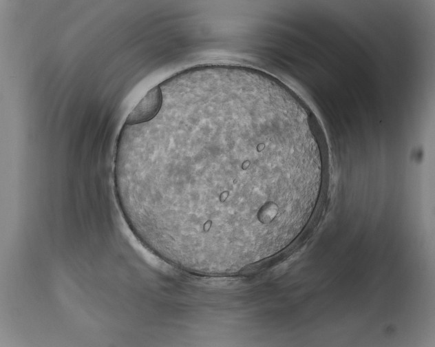 X0000114671437200911181156