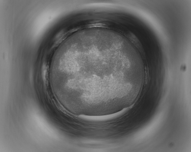 X0000114671438200911181156