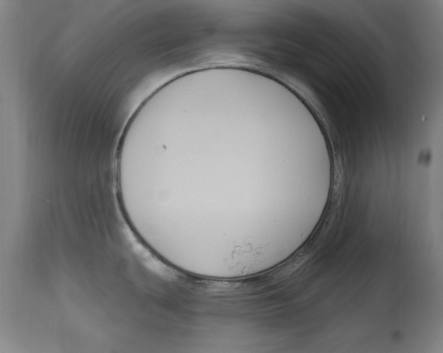 X0000114671439200911181156