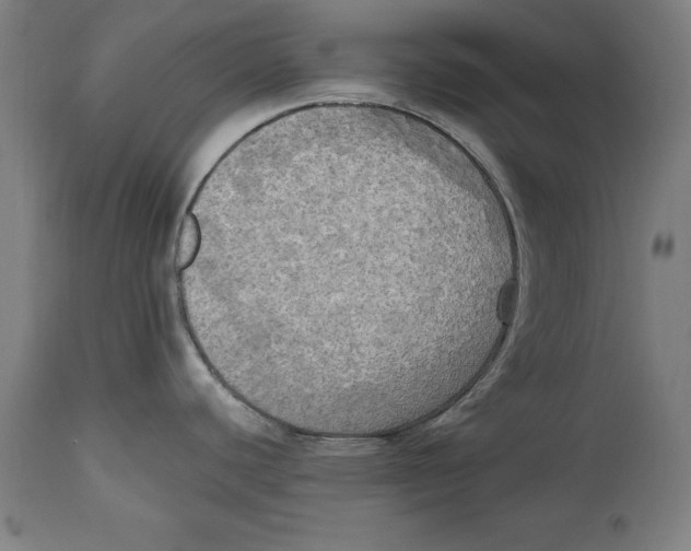 X0000114671440200911181156