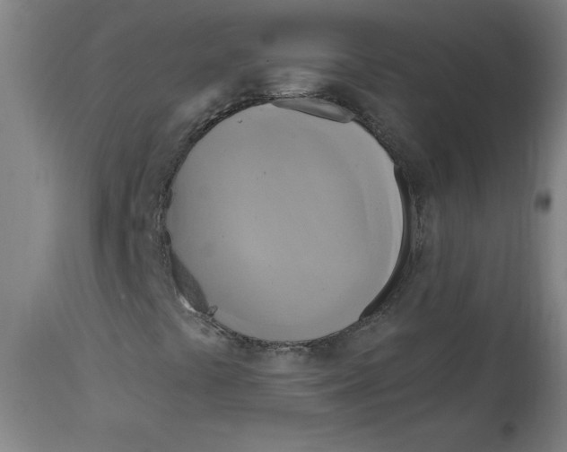 X0000114671441200911181155