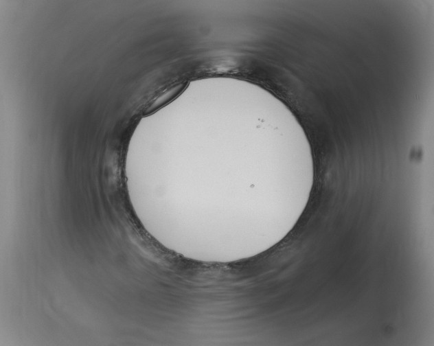 X0000114671442200911181155