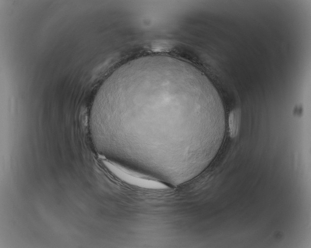 X0000114671443200911181155