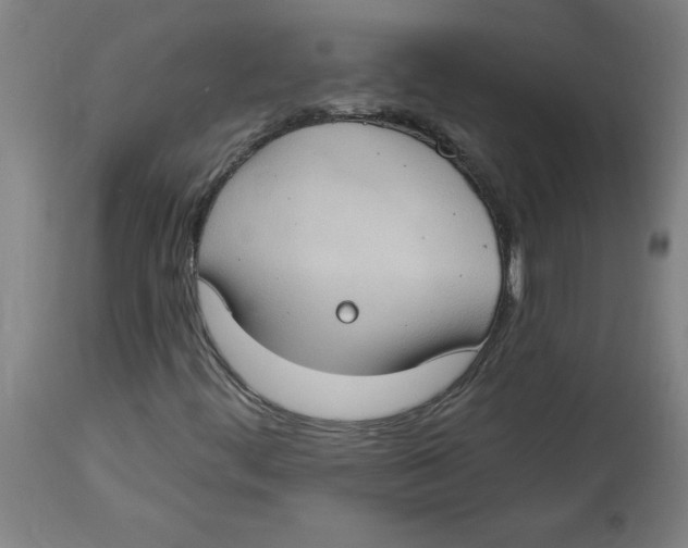 X0000114671444200911181155