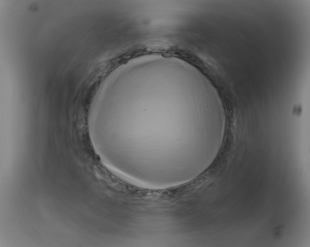 X0000114671445200911181155