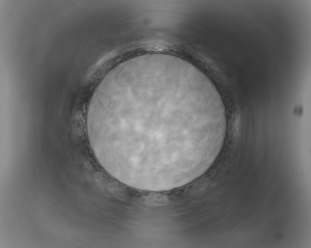 X0000114671446200911181155